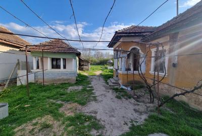 Casă cu 3 camere în Hotărani - 3