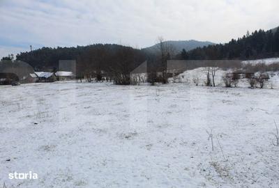 Teren de 4655 mp, în Central