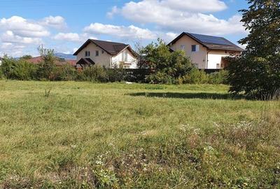 Spațiu comercial, în Cărpiniș - 6