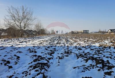 Teren Construcții intravilan de 2200 mp, în Periferie - 5