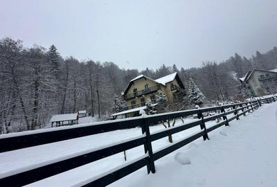 Casă cu 18 camere cu Teren 2000 Mp în Cheișoara - 2