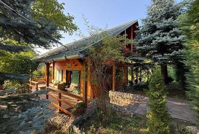 Cabana - Casa de vacanta situata in Muntele Rece! - 2