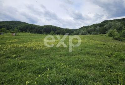 Teren agricol extravilan de 11935 mp, în Mărgineni - 1