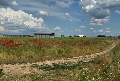 Vanzare Teren  construibil Cernica Balaceanca 1000mp - 14