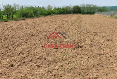 Teren de 2400 mp, în Câmpina - 3