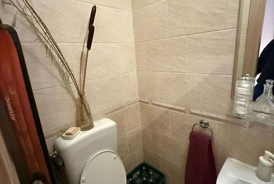 Apartament cu 3 camere decomandat în Rahova - 15