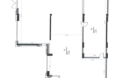Spatiu autorizat pentru alimentatie publica, cu VAD, zona Iulius Mall - 1