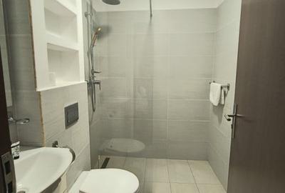 Hotel de inchiriat Parter + 2 Etaje + Mansarda, 19 camere, zona Brancoveanu - 7