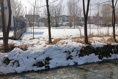 Teren de 800 mp, în Joița - 17