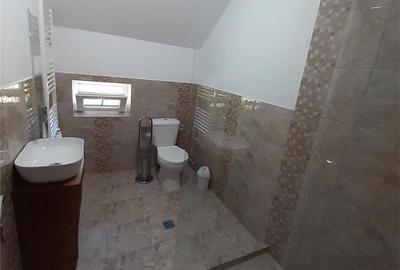 Casă cu 2 camere în Cârțișoara - 5