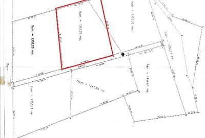 Vând teren Predeal 1400mp 40 EUR - 2