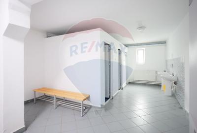 Spațiu industrial, de 1,249.0799560547 mp, în Exterior Vest - 22