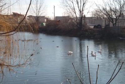 Casă individuală cu 4 camere cu Canalizare în Central - 48