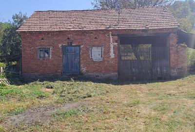 Casă cu 3 camere în Densuș - 7