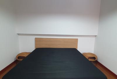 Apartament cu 3 camere decomandat, mobilat în Iancu Nicolae - 17