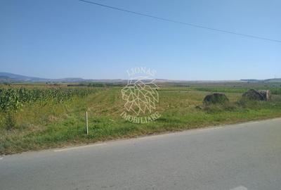 Teren agricol extravilan de 20000 mp, în Jelna - 2