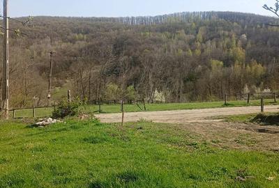 Teren de 8000 mp, în Meteș - 5