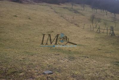 Teren Construcții intravilan de 1203 mp, în Tonea - 2
