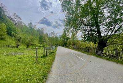 Teren de 839 mp, în Valea Doftanei - 5