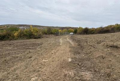 Teren de 850 mp, în Săldăbagiu de Munte