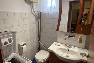 Apartament cu 2 camere în Botizului - 8