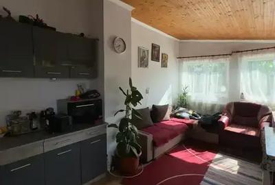 Casă cu 5 camere cu Canalizare în Ion Roată - 7