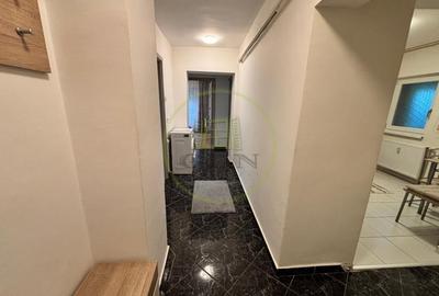 Apartament cu 2 camere decomandat, mobilat în Brazda lui Novac - 9