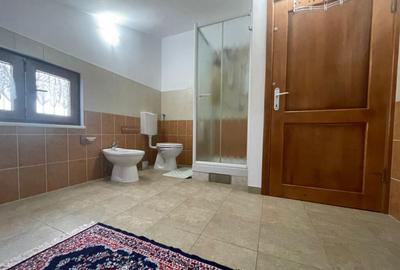 Casă cu 7 camere cu Teren 1717 Mp în Drăguțești - 12