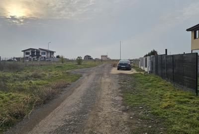 Teren veterani / 500 mp / deschidere 19,66 - 4