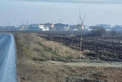 Teren de 10000 mp, în Bălăceanca