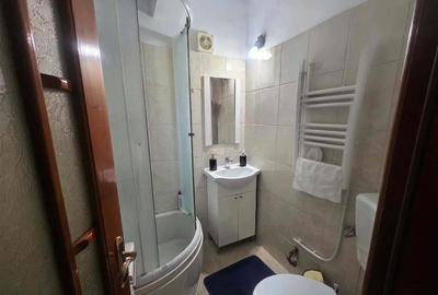 Apartament cu 2 camere semidecomandat în George Enescu - 4