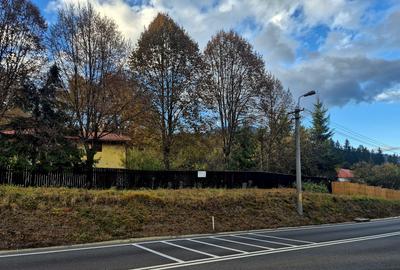 Casa de vacanta Timisu de Sus/Brasov/Oportunitate investitie - 14