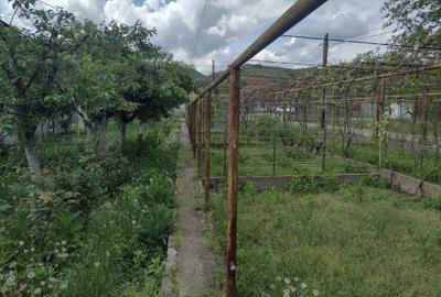 Casă cu 4 camere cu Teren 2000 Mp în Gura Văii - 1