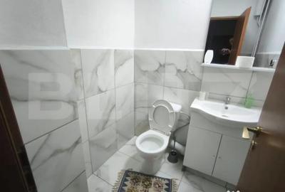 Apartament cu 4 camere decomandat, mobilat în Brazda lui Novac - 7