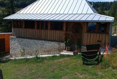 Teren de 56000 mp, în Arieșeni - 1
