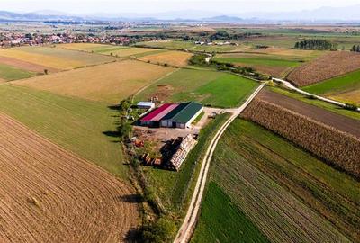Teren agricol extravilan de 18000 mp, în Rotbav - 7