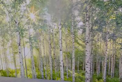 Garsonieră, mobilată în Noua - 2