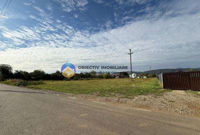 Teren de vanzare 1800 mp Dumbrava Ro?ie - 1