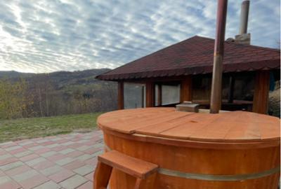 Cabana de inchiriat Cluj - 4