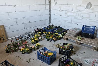 Casă cu 4 camere în Frumoasa - 8