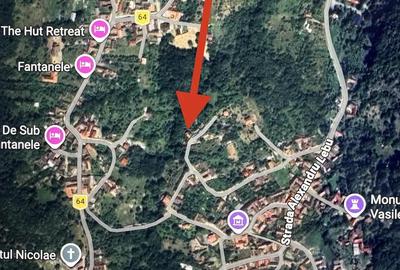 Casă cu Teren 2388 Mp în Fântânele - 9