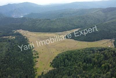 Teren de vanzare in apropiere de Transfagara?an ?i Valea Valsanului. - 5