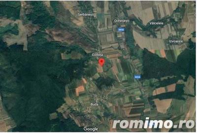 Teren Corbita, ID: R1984008 - 1