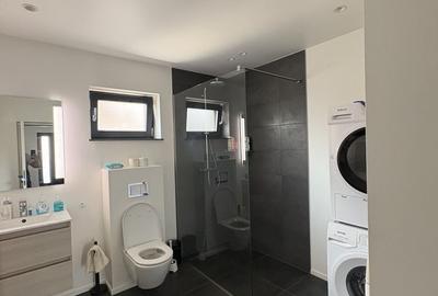 Casă cu 4 camere în Halmeu - 8
