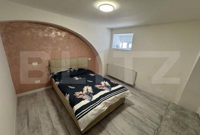 Apartament 2 camere, semidecomandat, curte 50mp Zona Casa Studentilor - 3