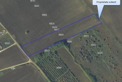 Teren de 13700 mp, în Bălteni - 3
