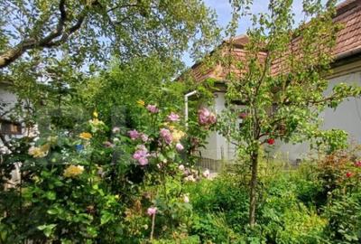 Casa individuala, 145 mp, 802 mp teren, zona centrala, Turda - 11