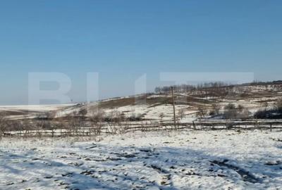 Teren de 79000 mp, în Central - 2