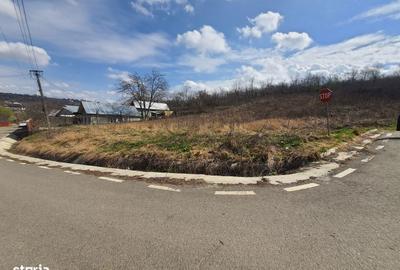 Teren de 1000 mp, în Rediu - 2