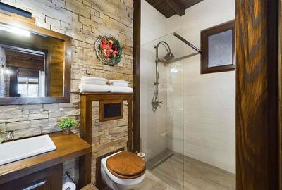 Pensiune de Lux pe Malul Dunarii in Dubova - 13